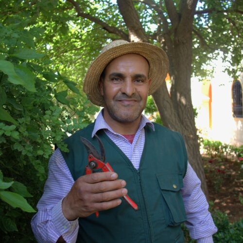 Abdelaziz
