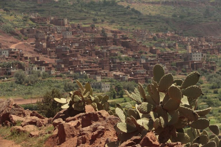 trekking-in-the-atlas-9